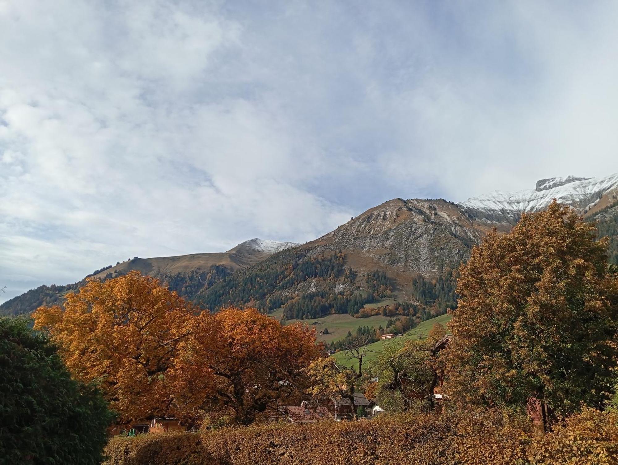 Cozy Apartment In The Heart Of The Alps شاتو دو الغرفة الصورة